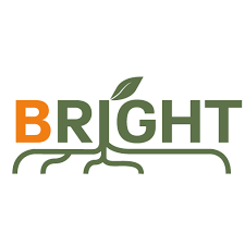 Bright - Cambiaterra