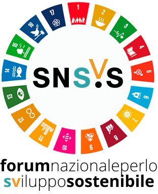 Sperimentazione con il Forum nazionale per lo Sviluppo Sostenibile nel contesto della Strategia Nazionale per lo Sviluppo Sostenibile