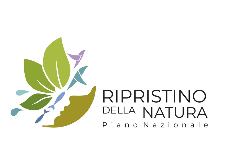 Immagine multimediale: Consultazione per la definizione del Piano Nazionale di Ripristino (PNR)