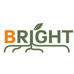 Bright Cambiaterra - Logo.png