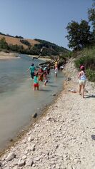 Contratto di Fiume Esino  