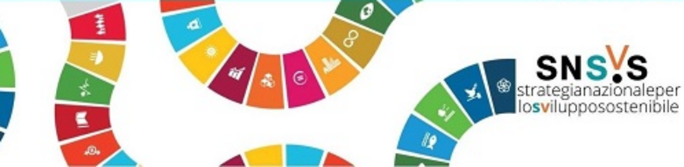 Forum nazionale per lo Sviluppo Sostenibile - Percorso pilota del Ministero della Transizione Ecologica nel progetto Open Gov